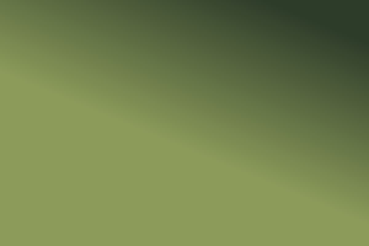Deutz-Fahr Danmark — Høstdemo