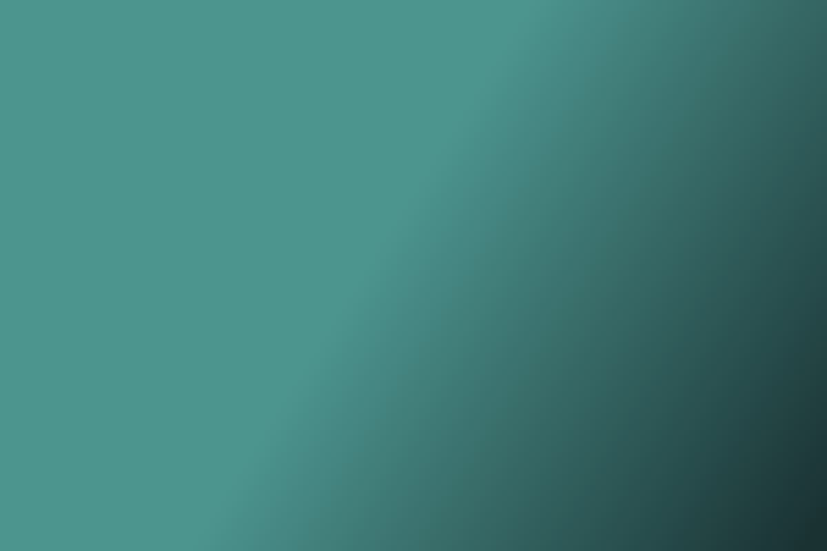 MCR Maskincenter — Avant minilæssere